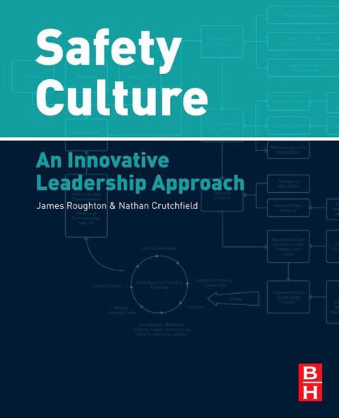 Book Safety Culture: An Innovative Leadership Approach free