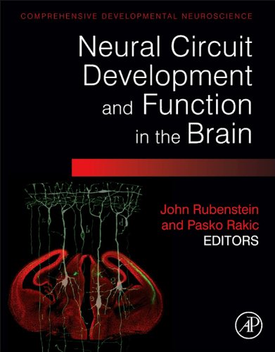 Book Neural Circuit Development and Function in the Healthy and Diseased Brain: Comprehensive Developmental Neuroscience free
