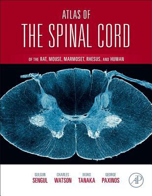 Book Atlas of the Spinal Cord: Mouse, Rat, Rhesus, Marmoset, and Human free