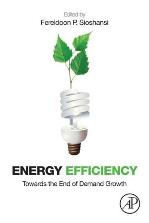Book Energy Efficiency: Towards the End of Demand Growth free