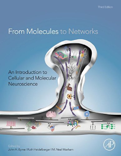 Book From Molecules to Networks: An Introduction to Cellular and Molecular Neuroscience free