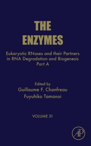 Book Eukaryotic RNases and their Partners in RNA Degradation and Biogenesis: Part A (ISSN Book 31) free