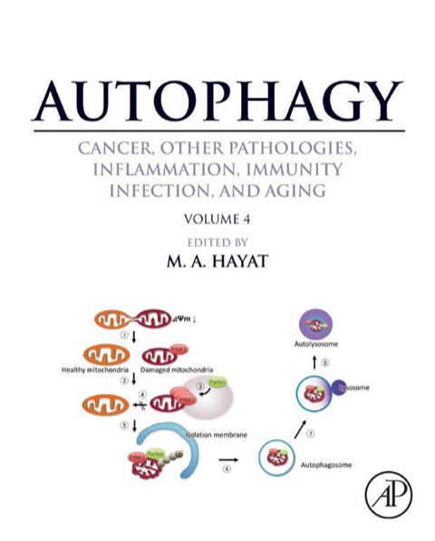 Book Autophagy: Cancer, Other Pathologies, Inflammation, Immunity, Infection, and Aging: Volume 4 - Mitophagy free