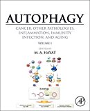Book Autophagy: Cancer, Other Pathologies, Inflammation, Immunity, Infection, and Aging: Volume 1 - Molecular Mechanisms free