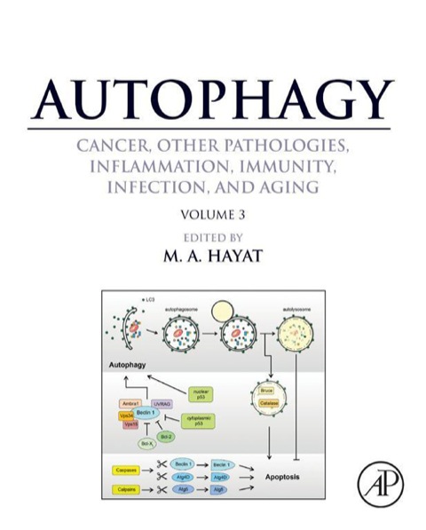 Book Autophagy: Cancer, Other Pathologies, Inflammation, Immunity, Infection, and Aging: Volume 3 - Role in Specific Diseases free
