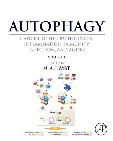 Book Autophagy: Cancer, Other Pathologies, Inflammation, Immunity, Infection, and Aging: Volume 1 - Molecular Mechanisms free
