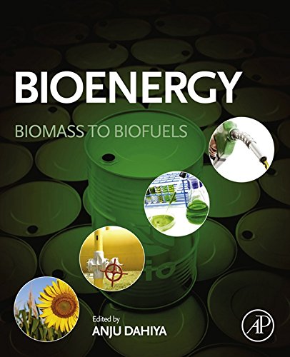 Book Bioenergy: Biomass to Biofuels free