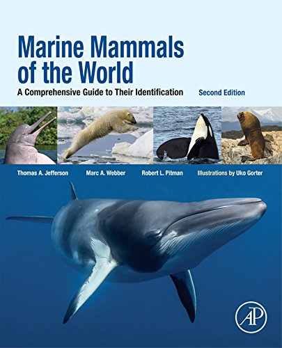 Book Marine Mammals of the World: A Comprehensive Guide to Their Identification free
