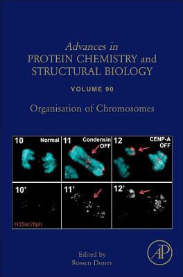 Book Organisation of Chromosomes (Volume 90) (Advances in Protein Chemistry and Structural Biology, Volume 90) free
