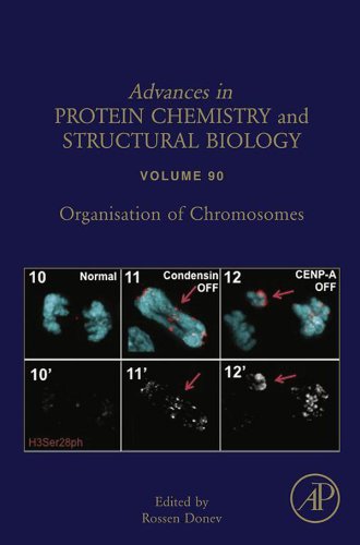 Book Organisation of Chromosomes (ISSN Book 90) free