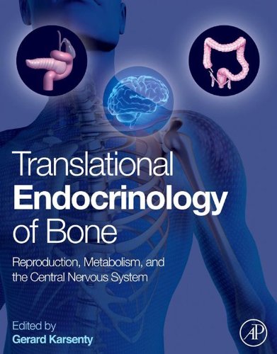 Book Translational Endocrinology of Bone: Reproduction, Metabolism, and the Central Nervous System free
