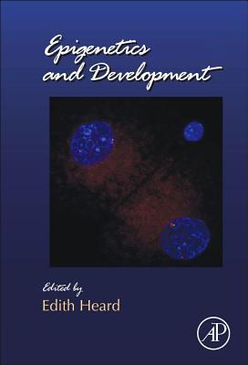 Book Epigenetics and Development (Volume 104) (Current Topics in Developmental Biology, Volume 104) free