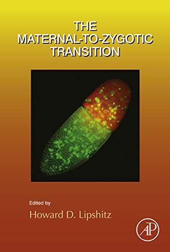 Book The Maternal-to-Zygotic Transition (ISSN Book 113) free