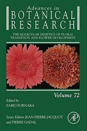 Book The Molecular Genetics of Floral Transition and Flower Development (ISSN Book 72) free