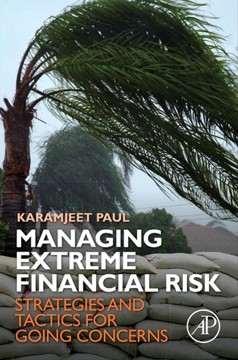 Book Managing Extreme Financial Risk: Strategies and Tactics for Going Concerns free