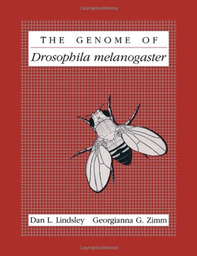 Book The Genome of Drosophila Melanogaster free
