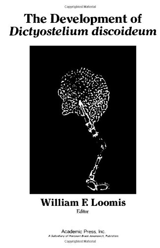 Book The Development of Dictyostelium Discoideum free