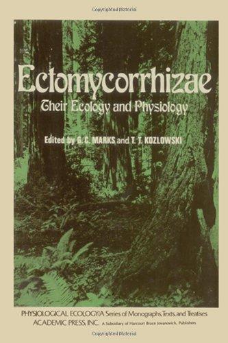 Book Ectomycorrhizae: their ecology and physiology (Physiological ecology) free