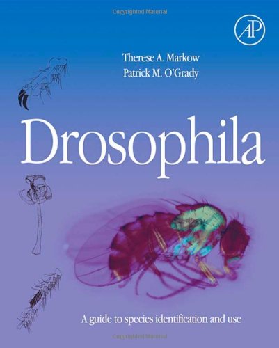 Book Drosophila: A Guide to Species Identification and Use free