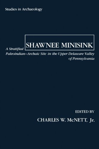 Book Shawnee Minisink: A Stratified Paleoindian-Archaic Site in the Upper Delaware Valley of Pennsylvania free