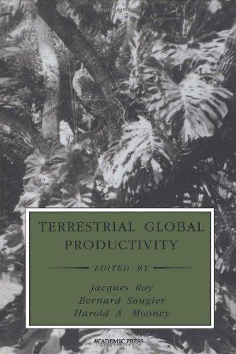 Book Terrestrial Global Productivity (Physiological Ecology) free