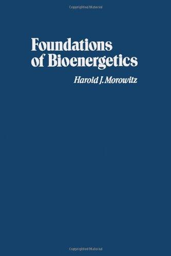 Book Foundations of Bioenergetics free