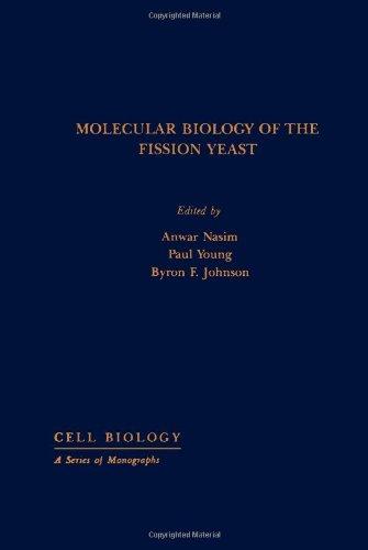 Book Molecular Biology of the Fission Yeast (Cell Biology) free