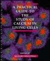 Book A Practical Guide to the Study of Calcium in Living Cells (Volume 40) (Methods in Cell Biology, Volume 40) free