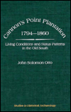 Book Cannon's Point Plantation, 1794 - 1860: Living Conditions and Status Patterns in the Old South (Studies in Historical Archaeology) free
