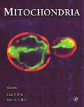 Book Mitochondria (Volume 65) (Methods in Cell Biology, Volume 65) free