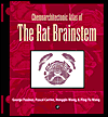Book Chemoarchitectonic Atlas of the Rat Brainstem free