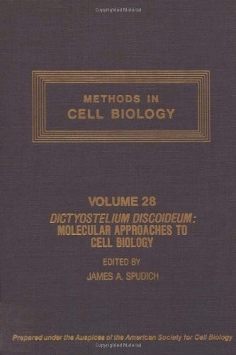Book METHODS IN CELL BIOLOGY,VOLUME 28: DICTYOSTELIUM DISCOIDEUM: MOLECULAR APPROACHES TO CELL BIOLOGY, Volume 28 free