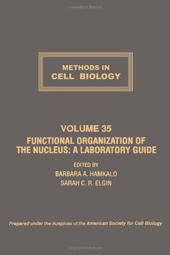 Book METHODS IN CELL BIOLOGY VOLUME 35 CTH: FUNCTIONAL ORGANIZATION OF THE NUCLEUS: A LABORATORY GUIDE, Volume 35 free