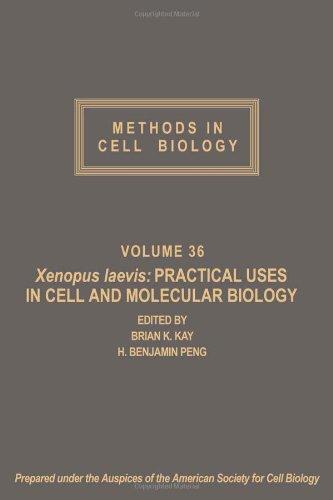 Book Methods in Cell Biology: Xenopus Laevis, Practical Uses in Cell and Molecular Biology, Vol. 36 free
