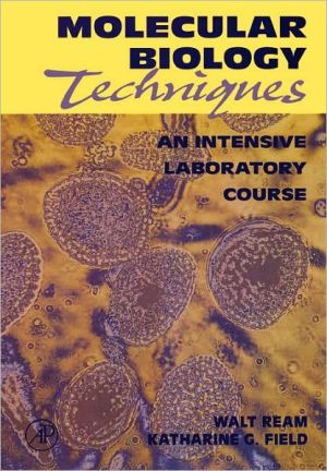 Book Molecular Biology Techniques: An Intensive Laboratory Course free