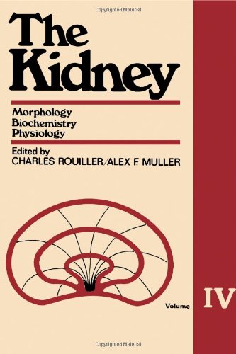 Book The Kidney Morphology, Biochemistry, Physiology free