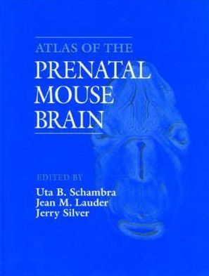 Book Atlas of the Prenatal Mouse Brain free