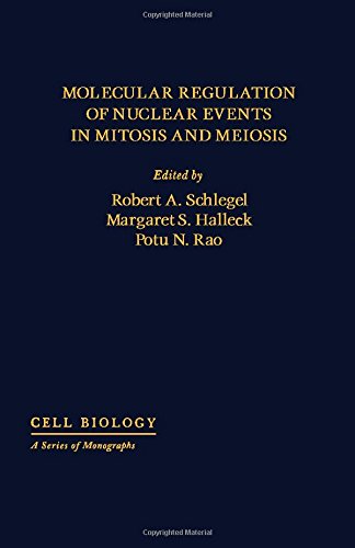 Book Molecular Regulation of Nuclear Events in Mitosis and Meiosis (Cell Biology) free