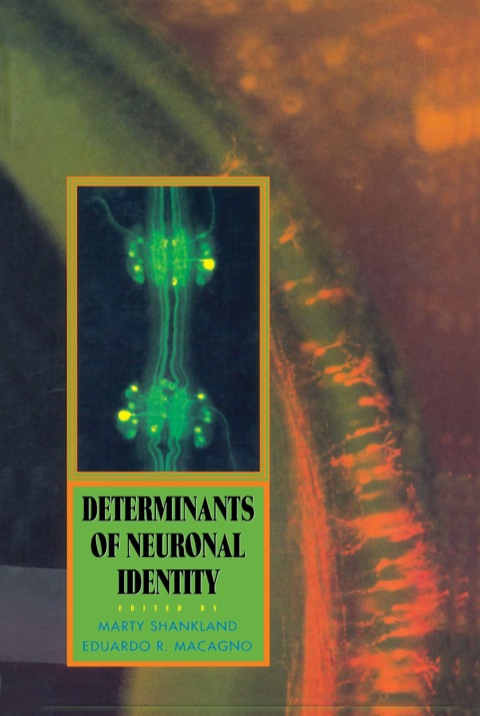 Book Determinants of Neuronal Identity free