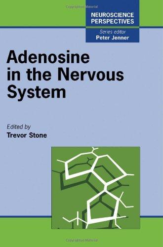 Book Adenosine in the Nervous System (Neuroscience Perspectives) free