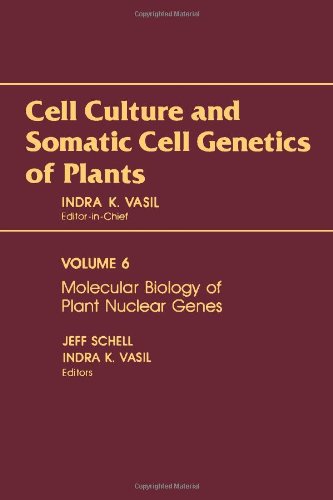 Book Cell Culture and Somatic Cell Genetics of Plants, Vol. 6: Molecular Biology of Plant Nuclear Genes free