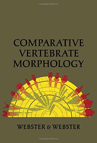 Book Comparative vertebrate morphology free