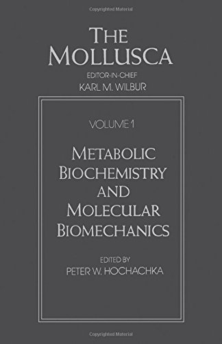 Book Mollusca: Metabolic Biochemistry and Molecular Biomechanics (Mollusca, Volume 1) free