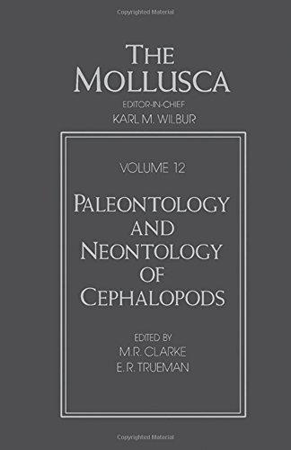 Book The Mollusca: Paleontology And Neontology Of Cephalopods free