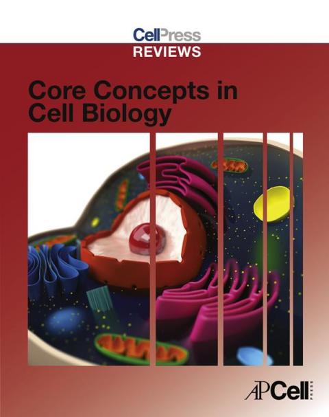 Book Cell Press Reviews: Core Concepts in Cell Biology free
