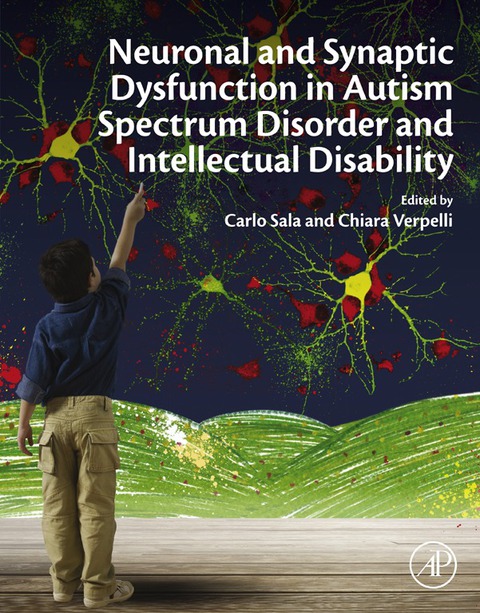 Book Neuronal and Synaptic Dysfunction in Autism Spectrum Disorder and Intellectual Disability free