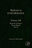Book Methods of Adipose Tissue Biology Part B: Methods of Adipose Tissue Biology (Volume 538) (Methods in Enzymology, Volume 538) free