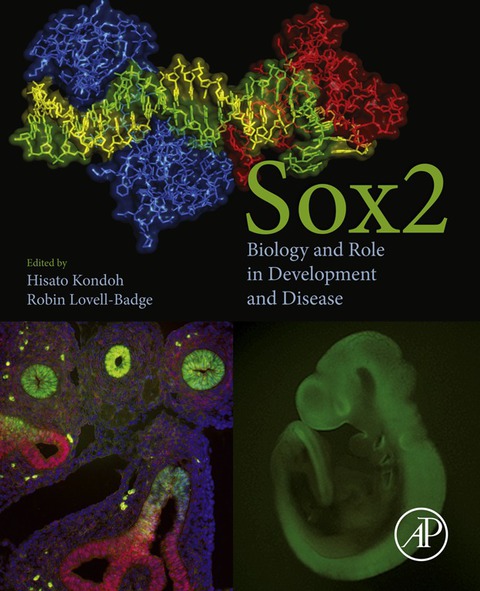 Book Sox2: Biology and Role in Development and Disease free