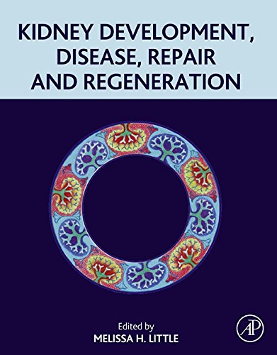 Book Kidney Development, Disease, Repair and Regeneration free