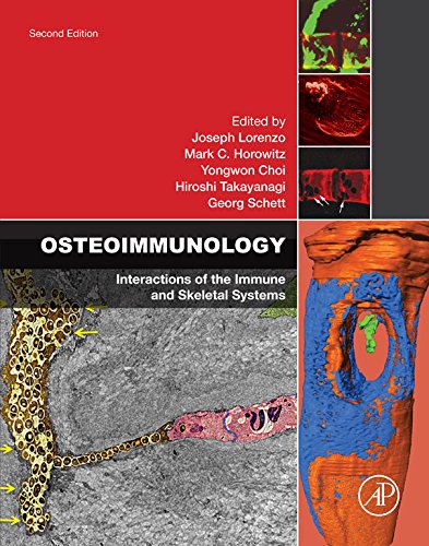 Book Osteoimmunology: Interactions of the Immune and Skeletal Systems free